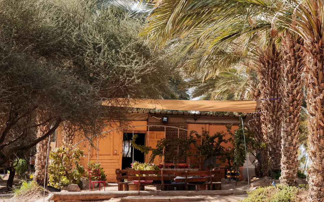 A shaded porch facing the palm rows