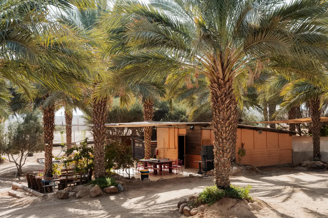 A timber cabin deep in the date-palm grove